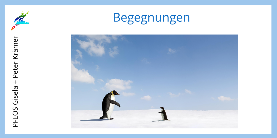 Zwei Pinguine stehen sich gegenüber auf Schnee – Symbol für Begegnung & Austausch