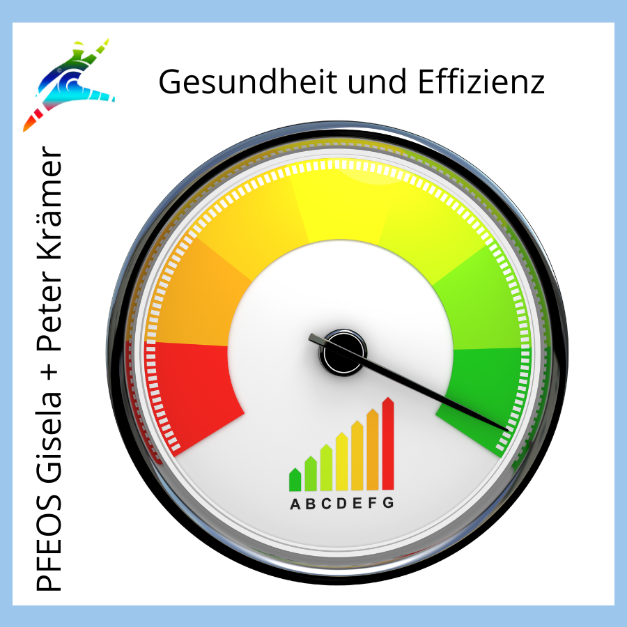 Ein Energieeffizienz-Messgerät mit grünem Bereich – Symbol für die Balance zwischen Leistung und Wohlbefinden